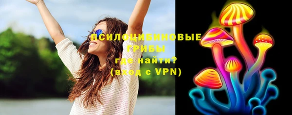 стаф Лабытнанги