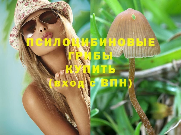 ешки Ветлуга