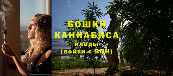 крисы Ладушкин