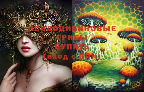 крисы Ладушкин