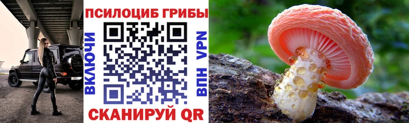 Псилоцибиновые грибы GOLDEN TEACHER  shop состав  Наро-Фоминск 